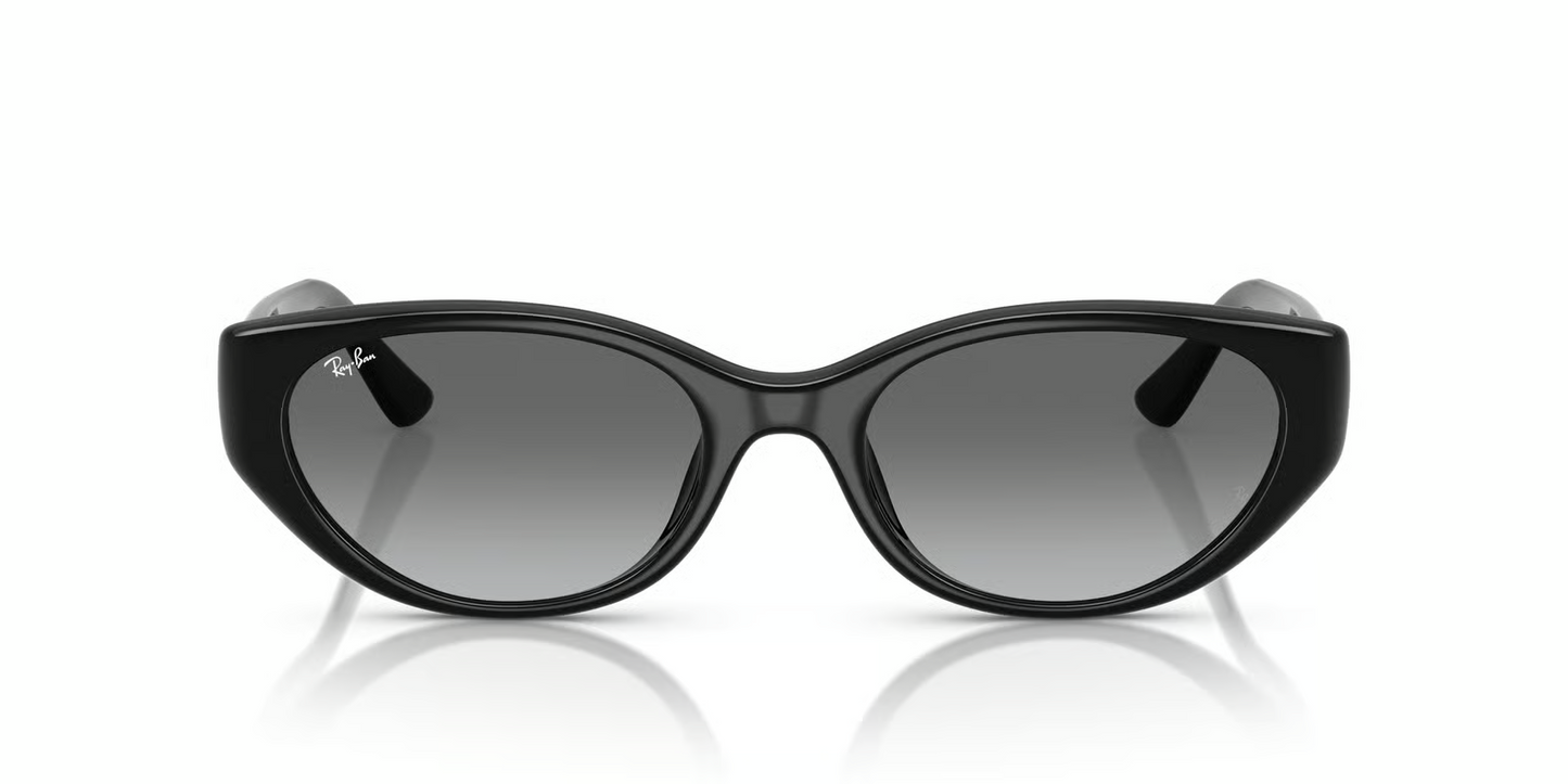 Ray-Ban RB4457D Sunglasses