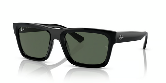 Ray-Ban RB4396 Warren Sunglasses