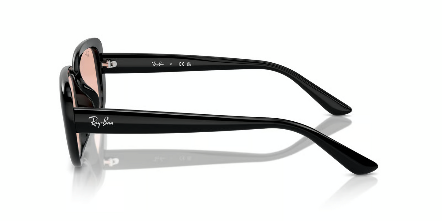 Ray-Ban RB4421D Sunglasses