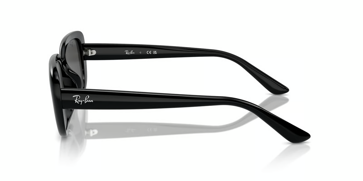 Ray-Ban RB4421D Sunglasses