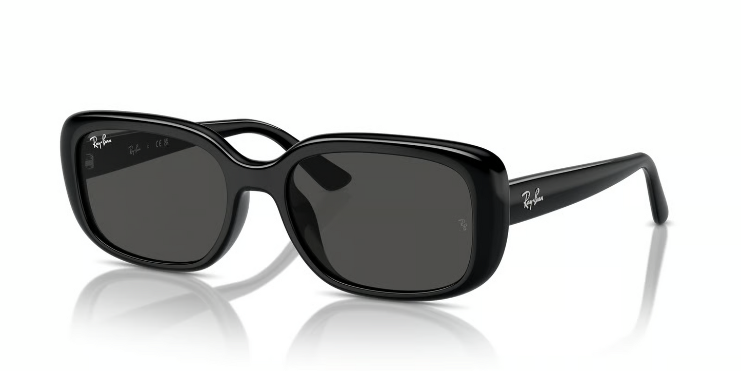 Ray-Ban RB4421D Sunglasses