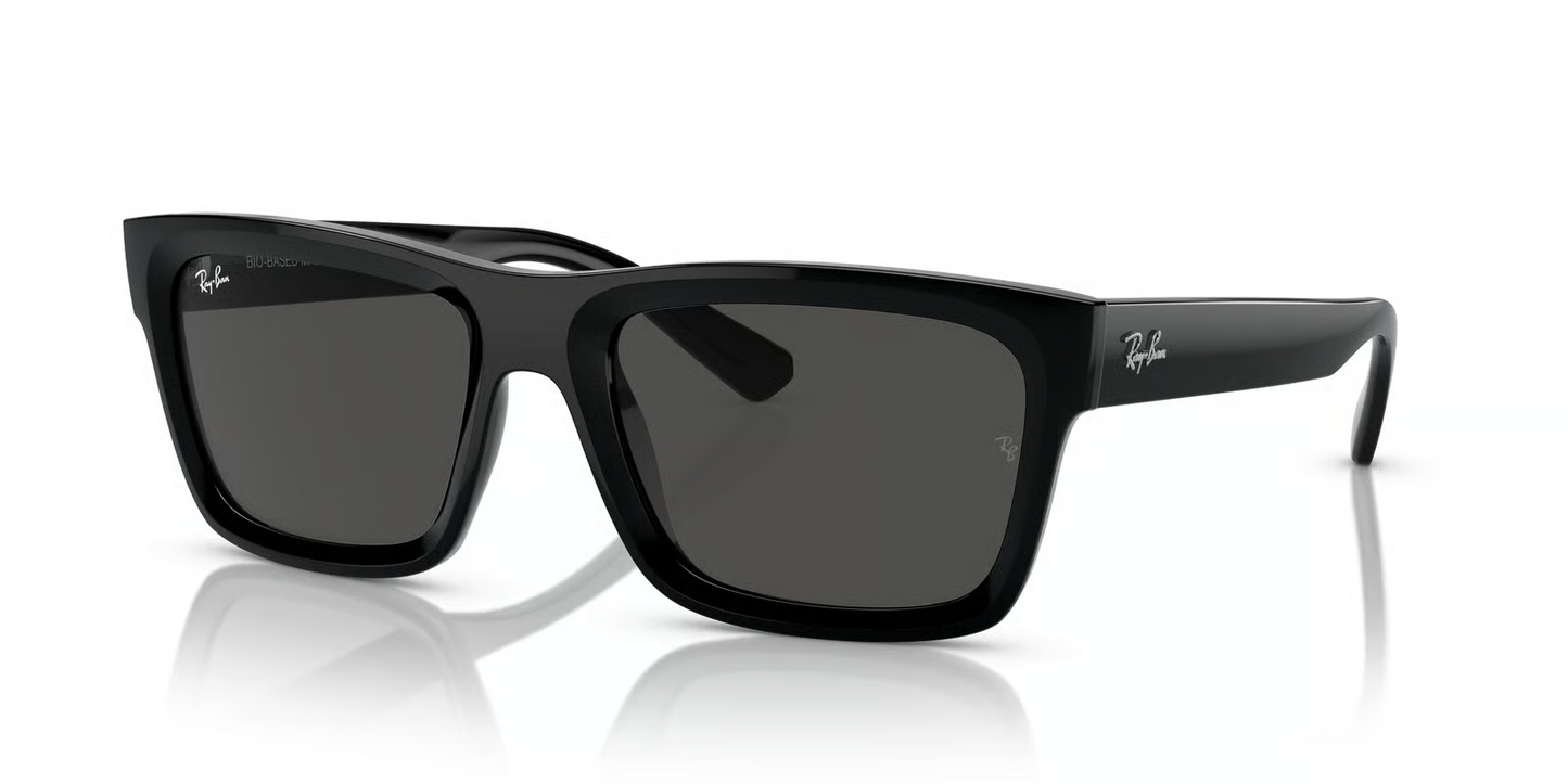 Ray-Ban RB4396 Warren Sunglasses
