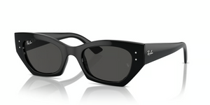 667787 - Black with Dark Grey Lenses