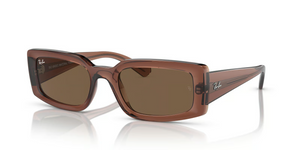667873 - Transparent Brown with Dark Brown Lenses
