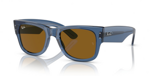668073 - Transparent Blue with Brown Lenses
