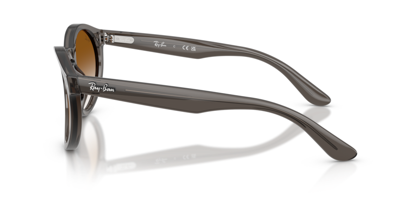 Ray-Ban RBR0505S Sunglasses