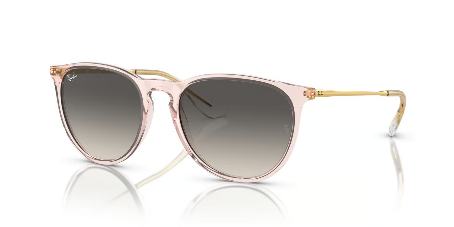 Ray-Ban RB4171 Erika Sunglasses