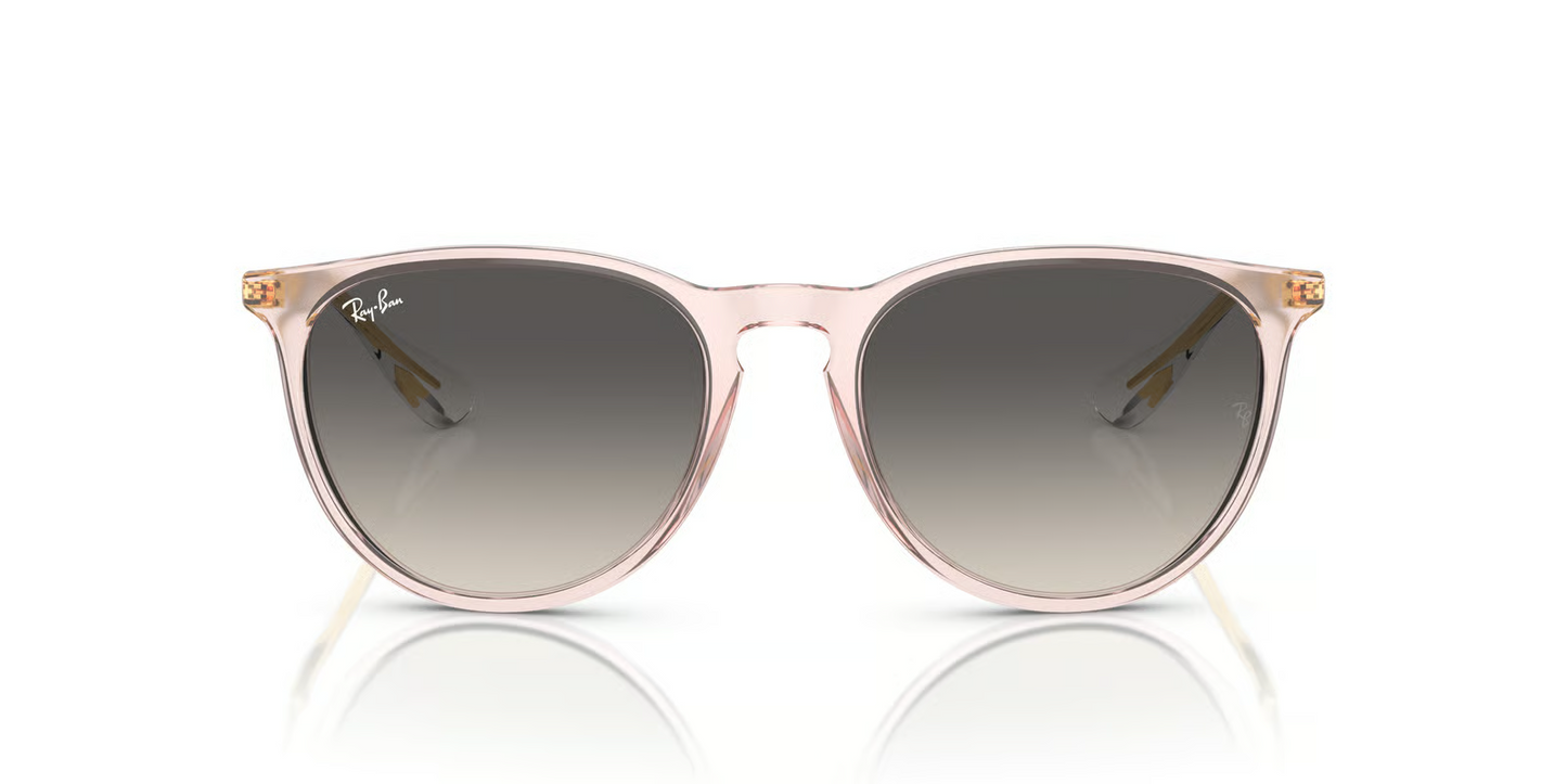 Ray-Ban RB4171 Erika Sunglasses