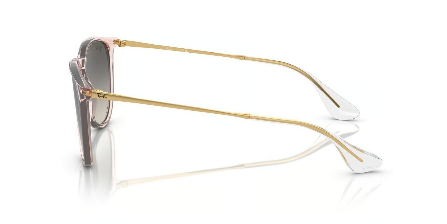 Ray-Ban RB4171 Erika Sunglasses