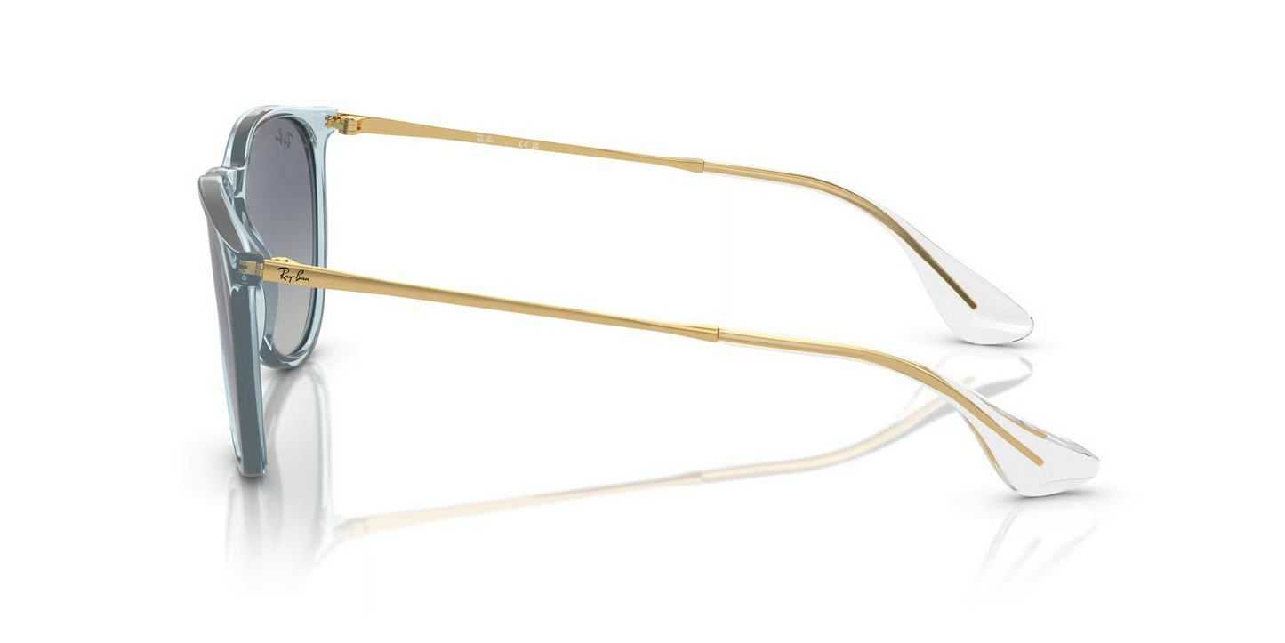 Ray-Ban RB4171 Erika Sunglasses