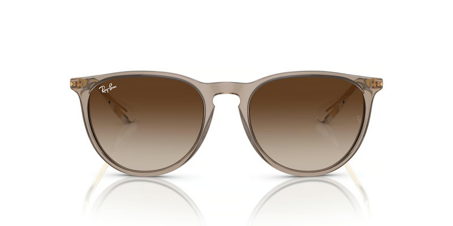 Ray-Ban RB4171F Erika Sunglasses
