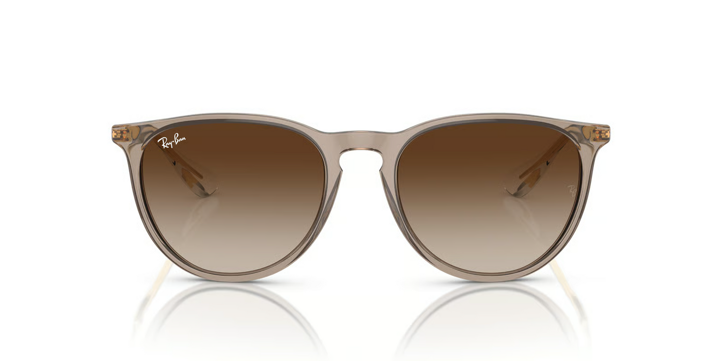 Ray-Ban RB4171 Erika Sunglasses