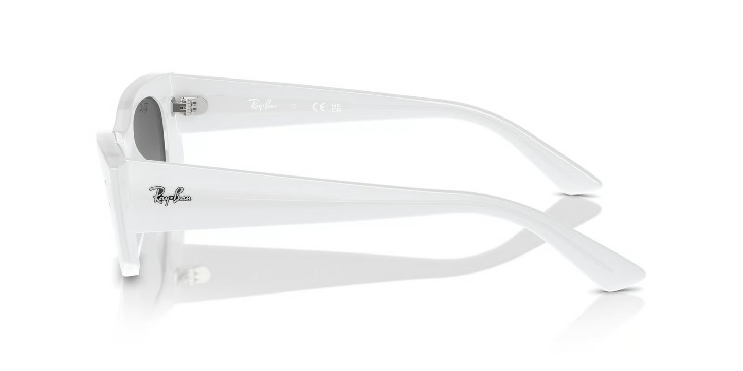 Ray-Ban RB4427 Kat Sunglasses