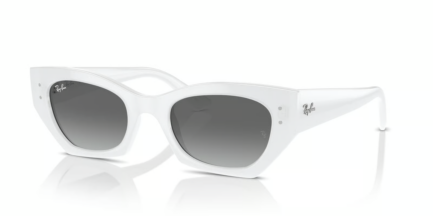 Ray-Ban RB4430F Zena Sunglasses