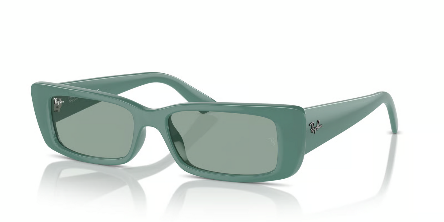 Ray-Ban RB4425F Teru Sunglasses