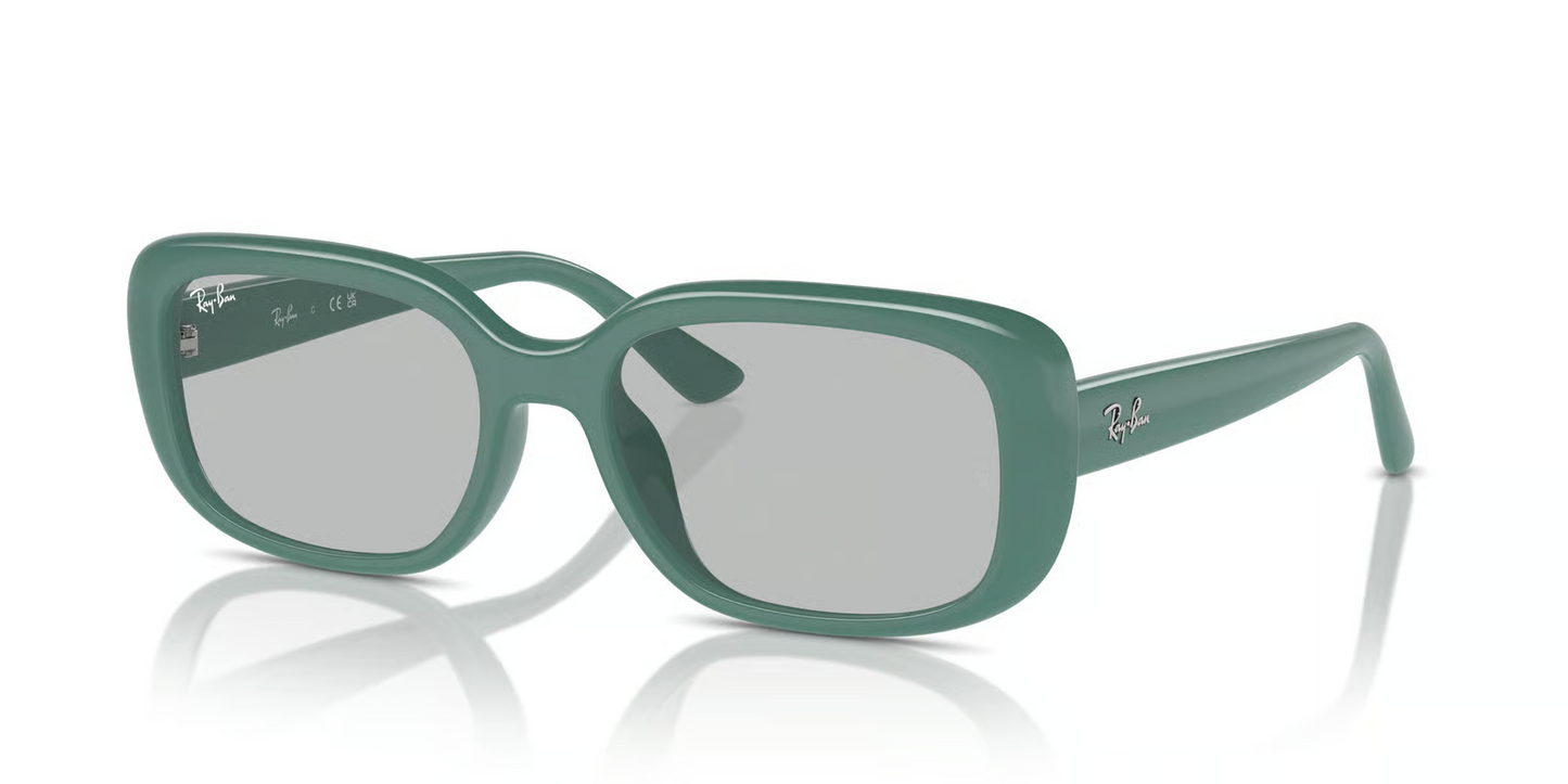 Ray-Ban RB4421D Sunglasses