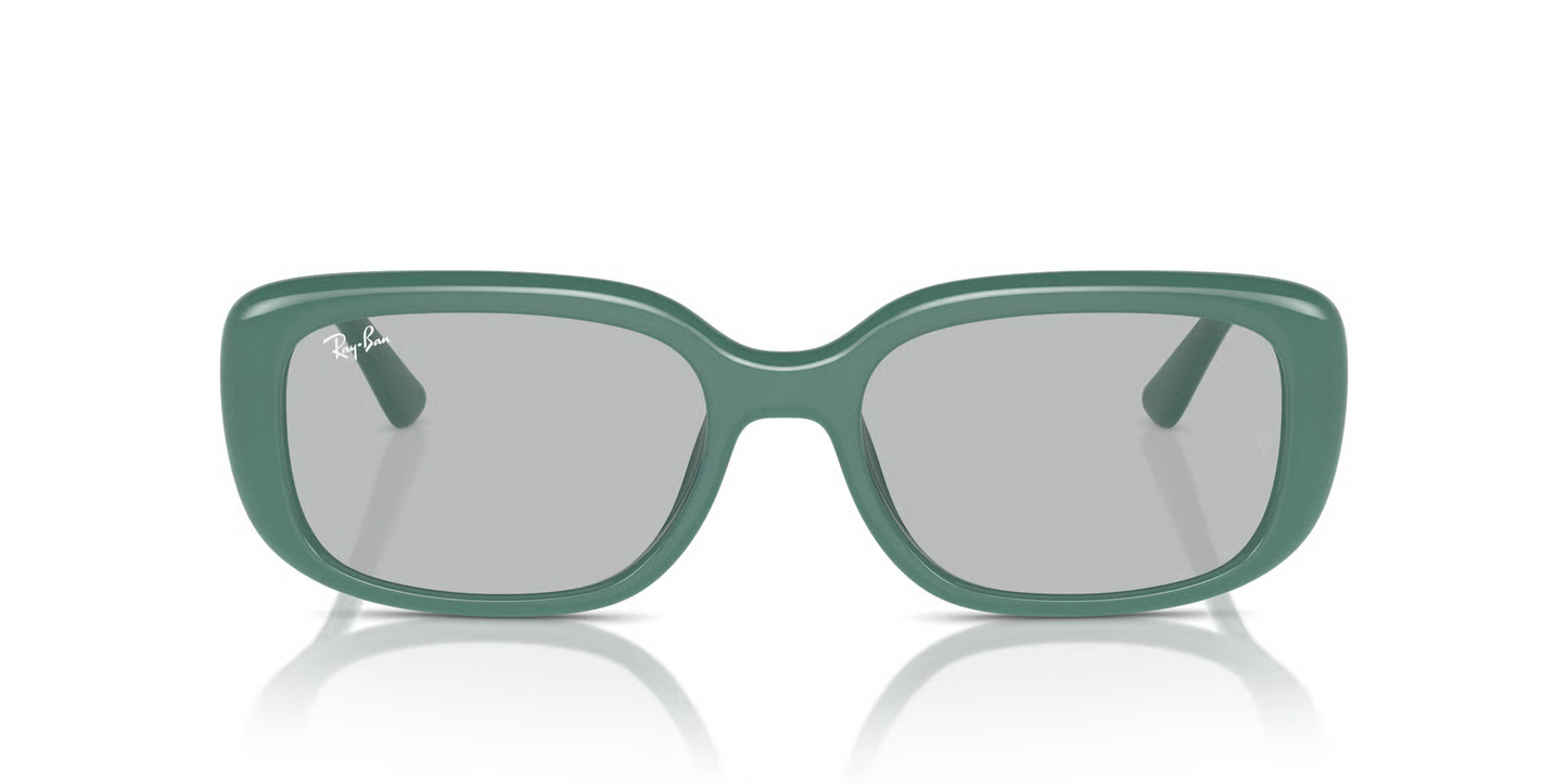 Ray-Ban RB4421D Sunglasses