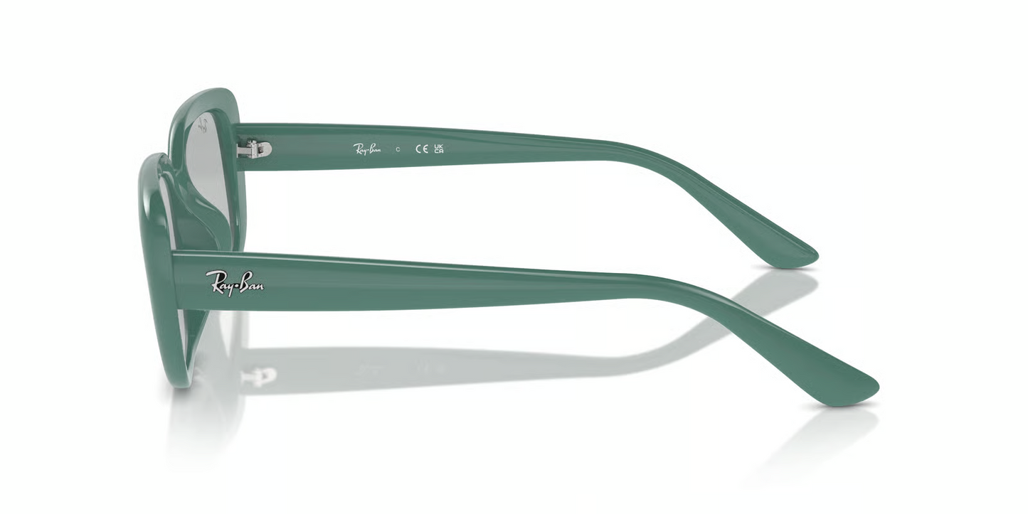 Ray-Ban RB4421D Sunglasses