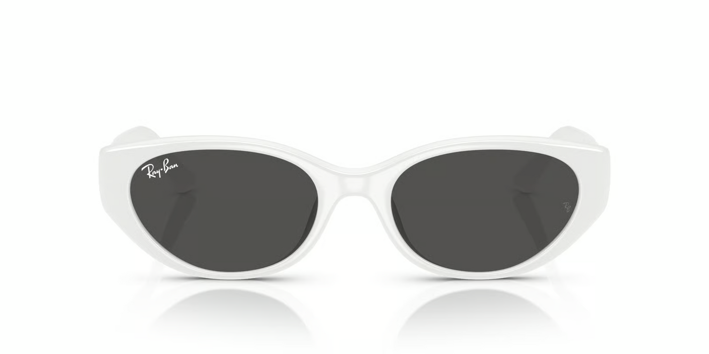 Ray-Ban RB4457D Sunglasses