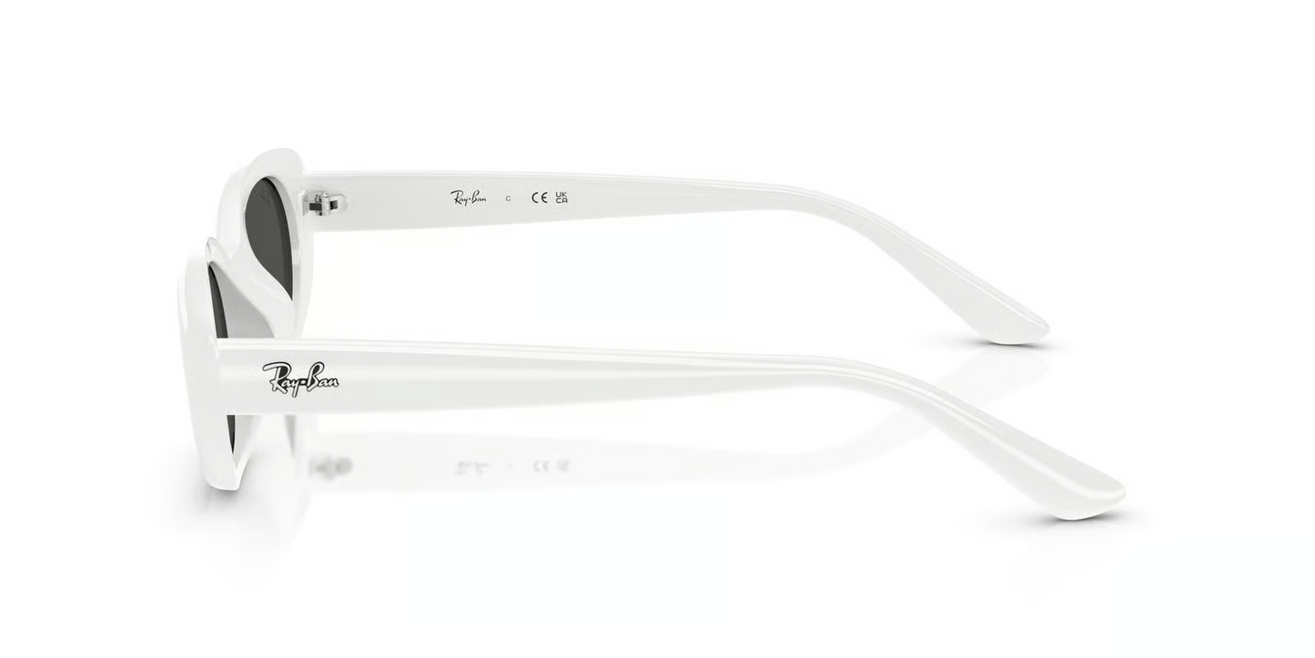 Ray-Ban RB4441D Sunglasses