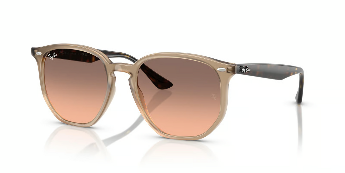 Ray-Ban RB4306 Sunglasses