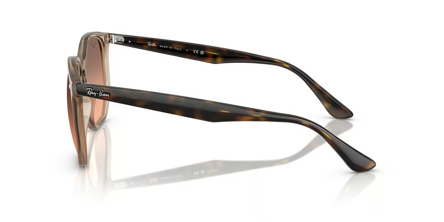 Ray-Ban RB4306 Sunglasses