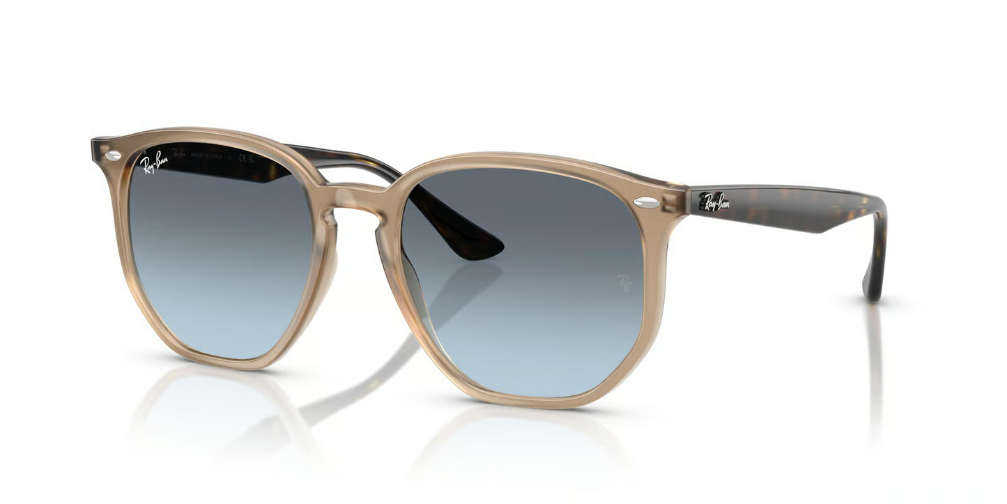 Ray-Ban RB4306 Sunglasses