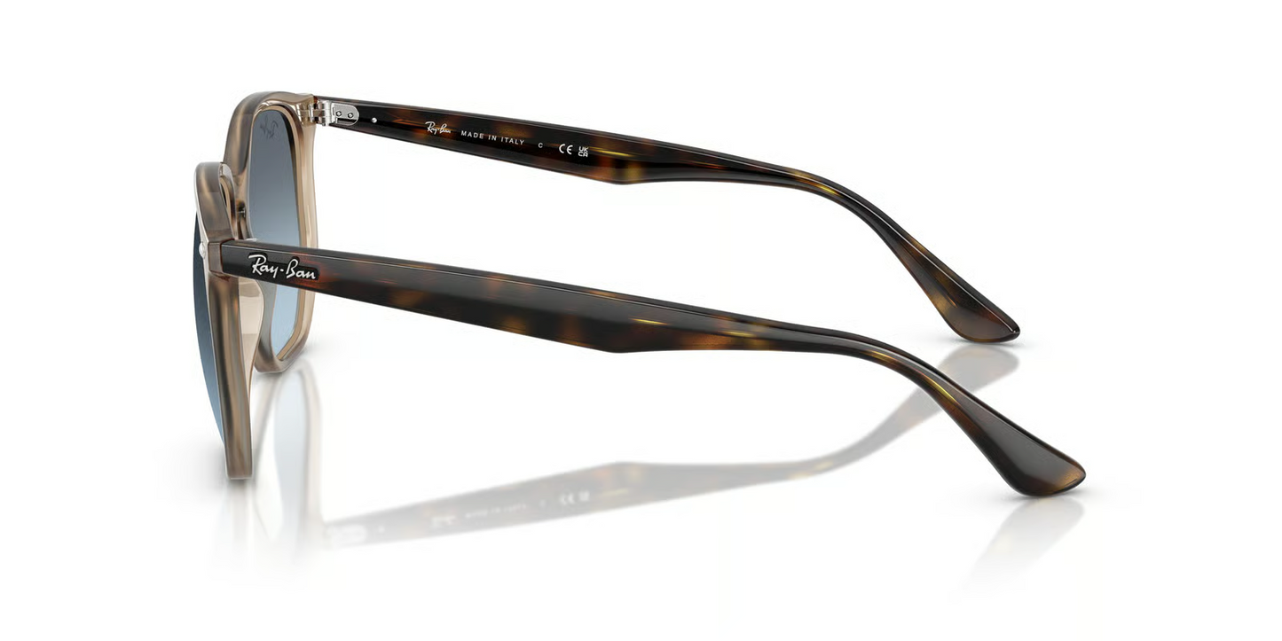 Ray-Ban RB4306 Sunglasses