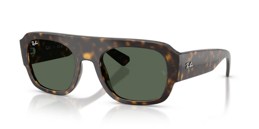 Ray-Ban RB2218 Sunglasses