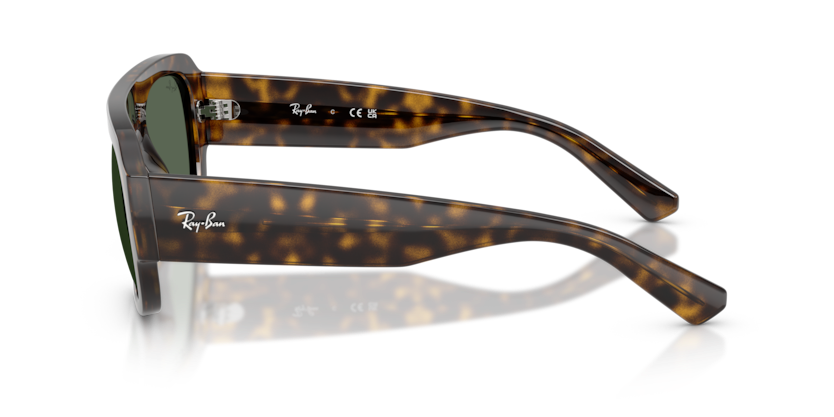 Ray-Ban RB2218 Sunglasses