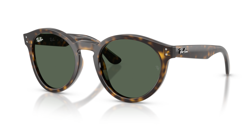 Ray-Ban RBR0505S Sunglasses