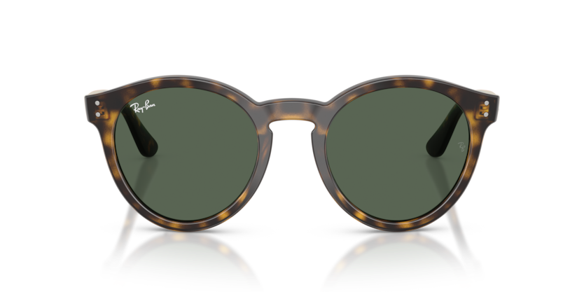 Ray-Ban RBR0505S Sunglasses