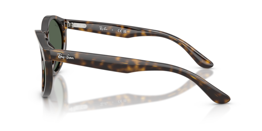 Ray-Ban RBR0505S Sunglasses