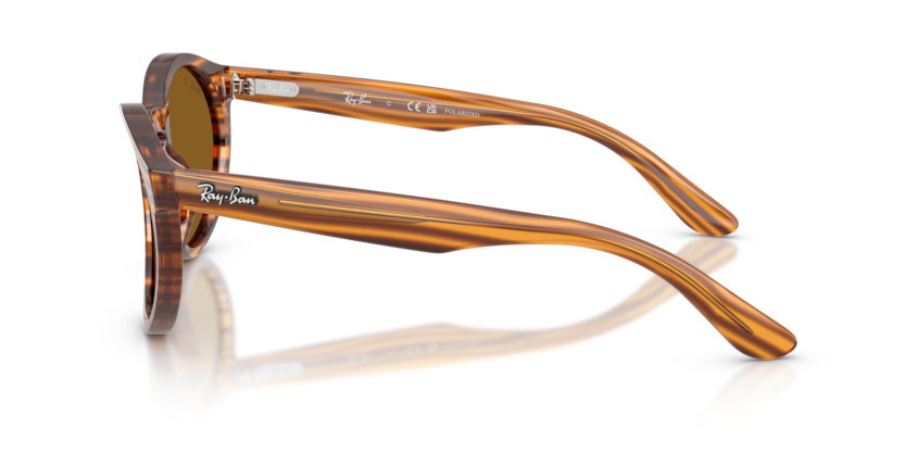 Ray-Ban RBR0505S Sunglasses