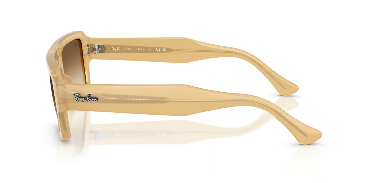 Ray-Ban RB4454F Flacko Sunglasses