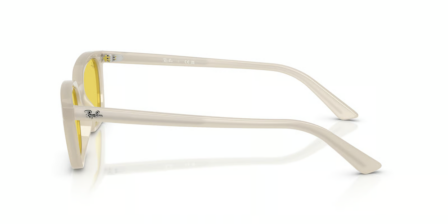 Ray-Ban RB4456F Zaya Sunglasses