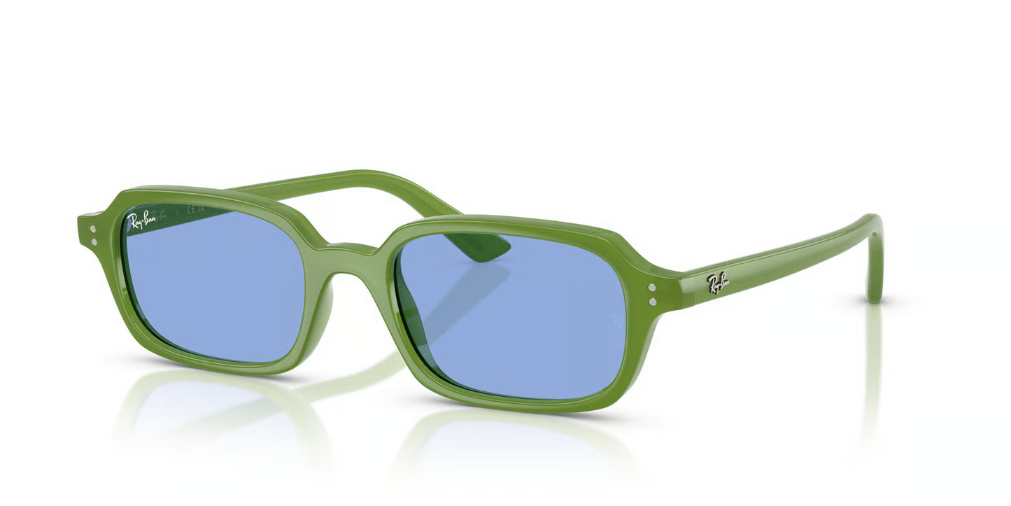 Ray-Ban RB4455F Zuri Sunglasses