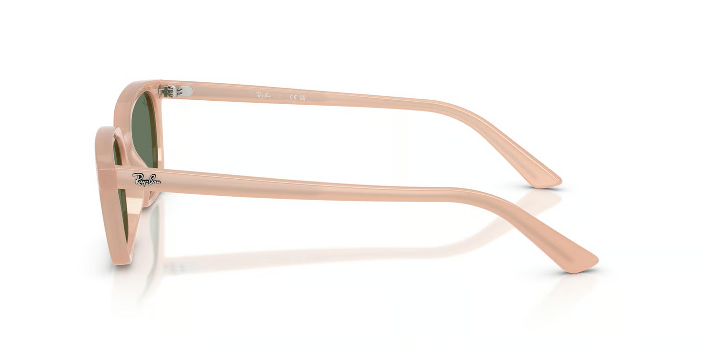 Ray-Ban RB4456F Zaya Sunglasses