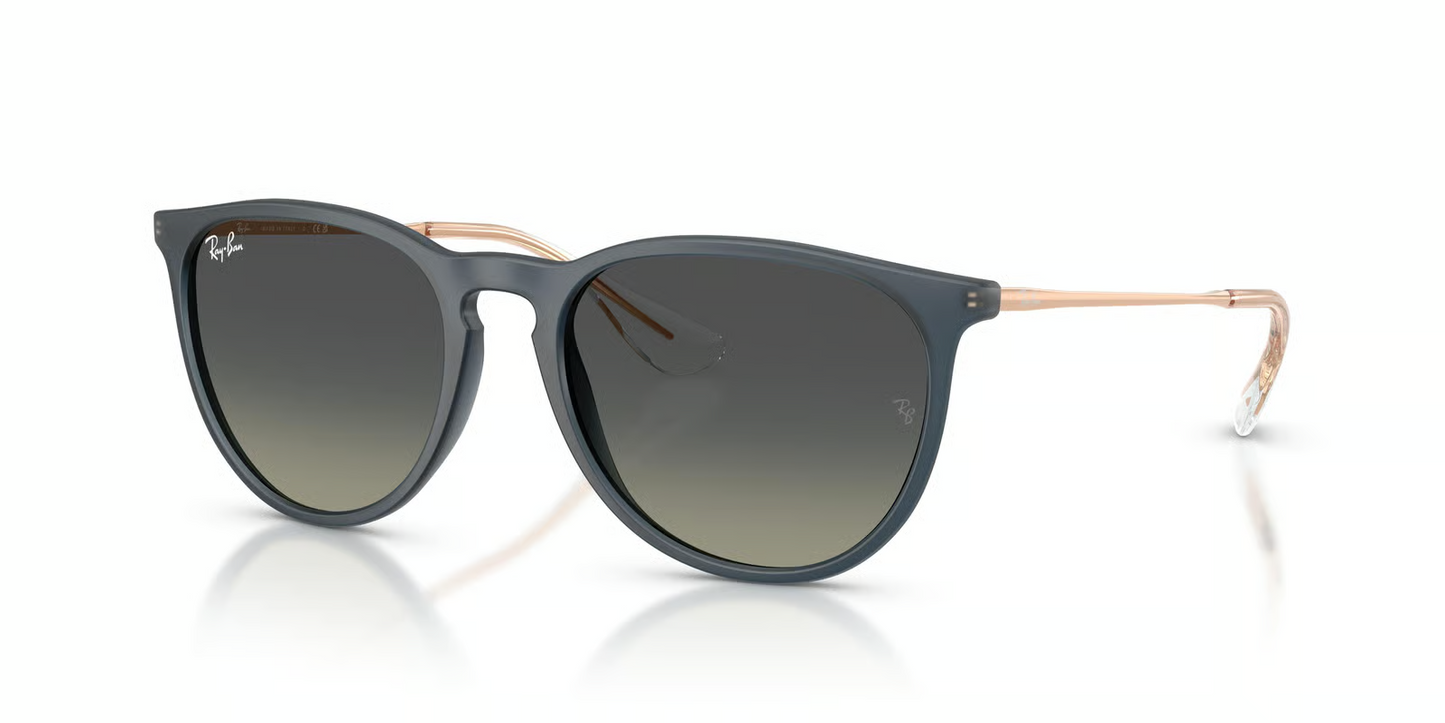 Ray-Ban RB4171F Erika Sunglasses