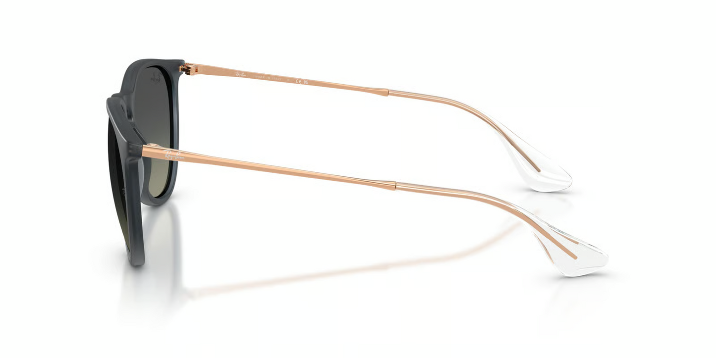 Ray-Ban RB4171F Erika Sunglasses