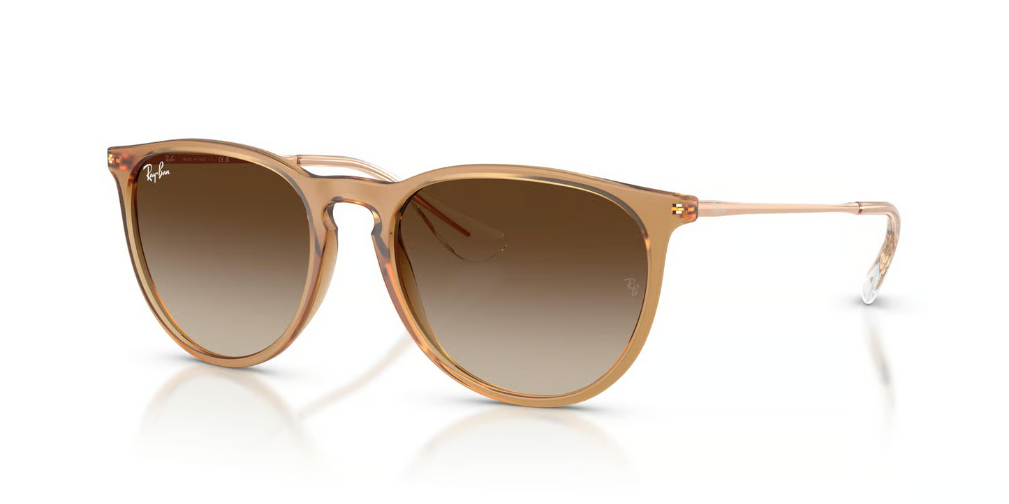 Ray-Ban RB4171F Erika Sunglasses