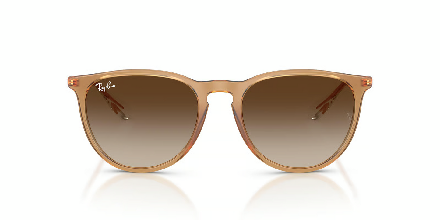 Ray-Ban RB4171F Erika Sunglasses