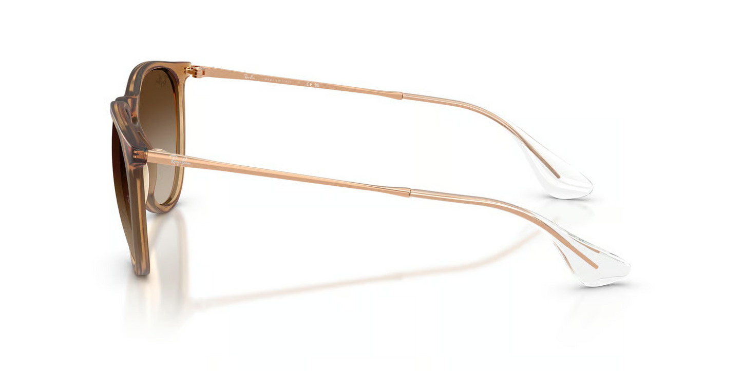 Ray-Ban RB4171F Erika Sunglasses