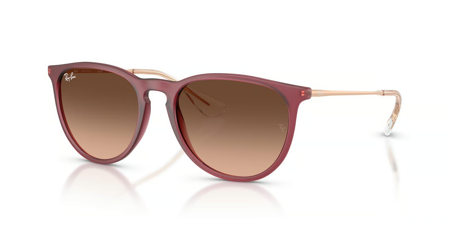 Ray-Ban RB4171F Erika Sunglasses