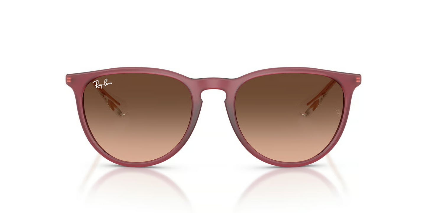 Ray-Ban RB4171F Erika Sunglasses