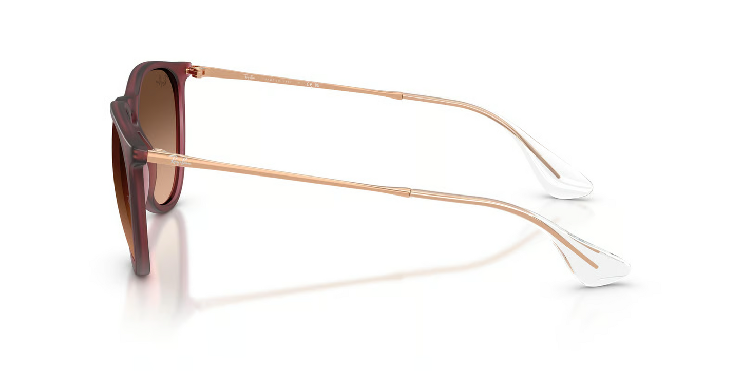 Ray-Ban RB4171F Erika Sunglasses