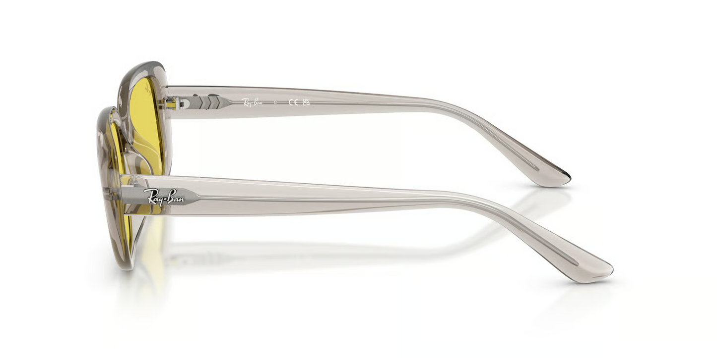 Ray-Ban RB4421D Sunglasses