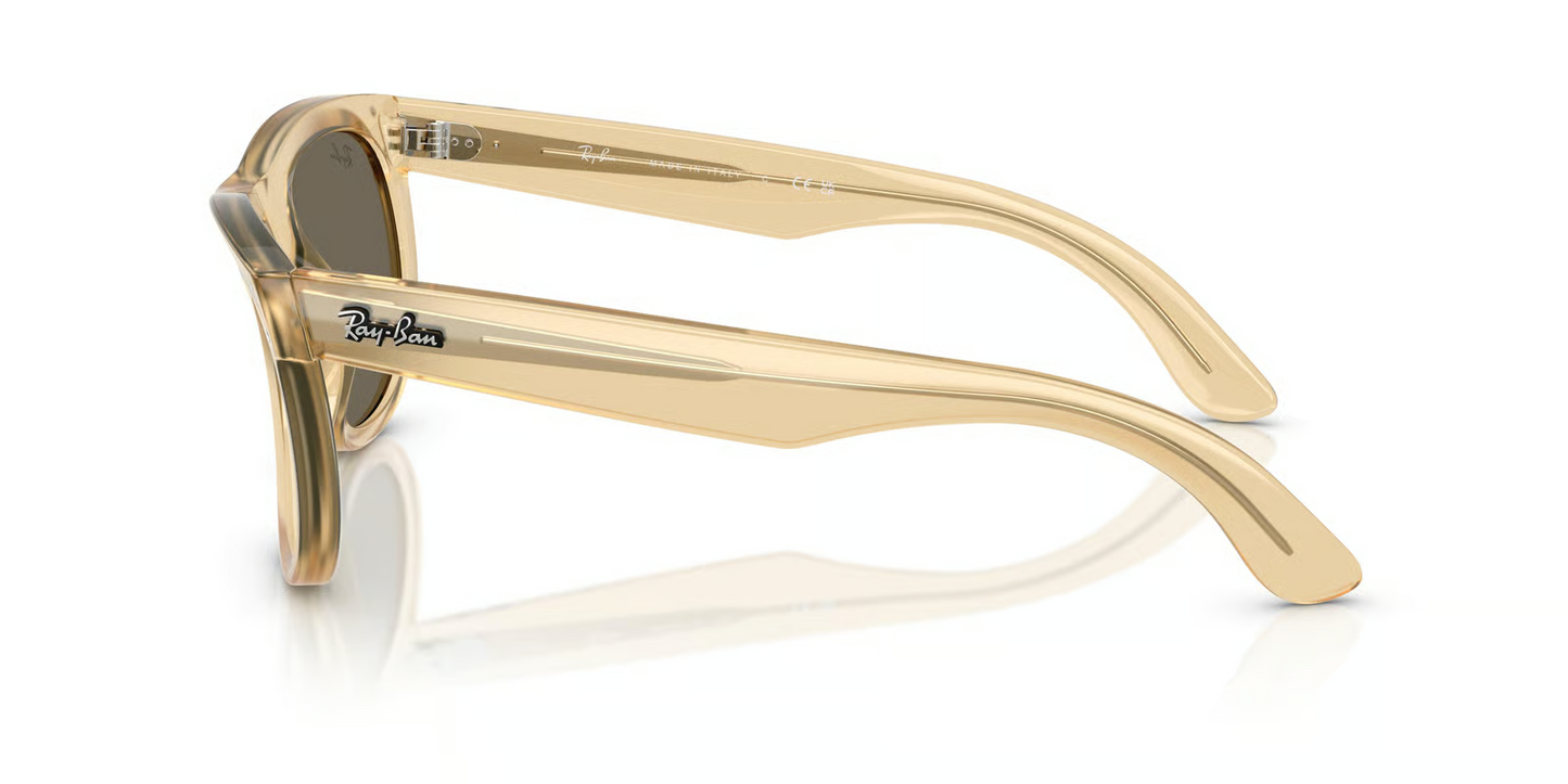 Ray-Ban RBR0502S Wayfarer Reverse Sunglasses