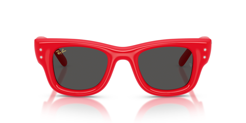 Ray-Ban RB4940B Wayfarer Puffer Sunglasses