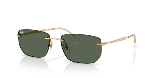 Ray-Ban RB3768 Sunglasses